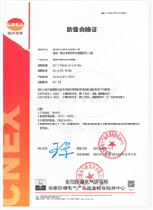 隔爆型磁致伸缩（位移/液位）传感器IIC